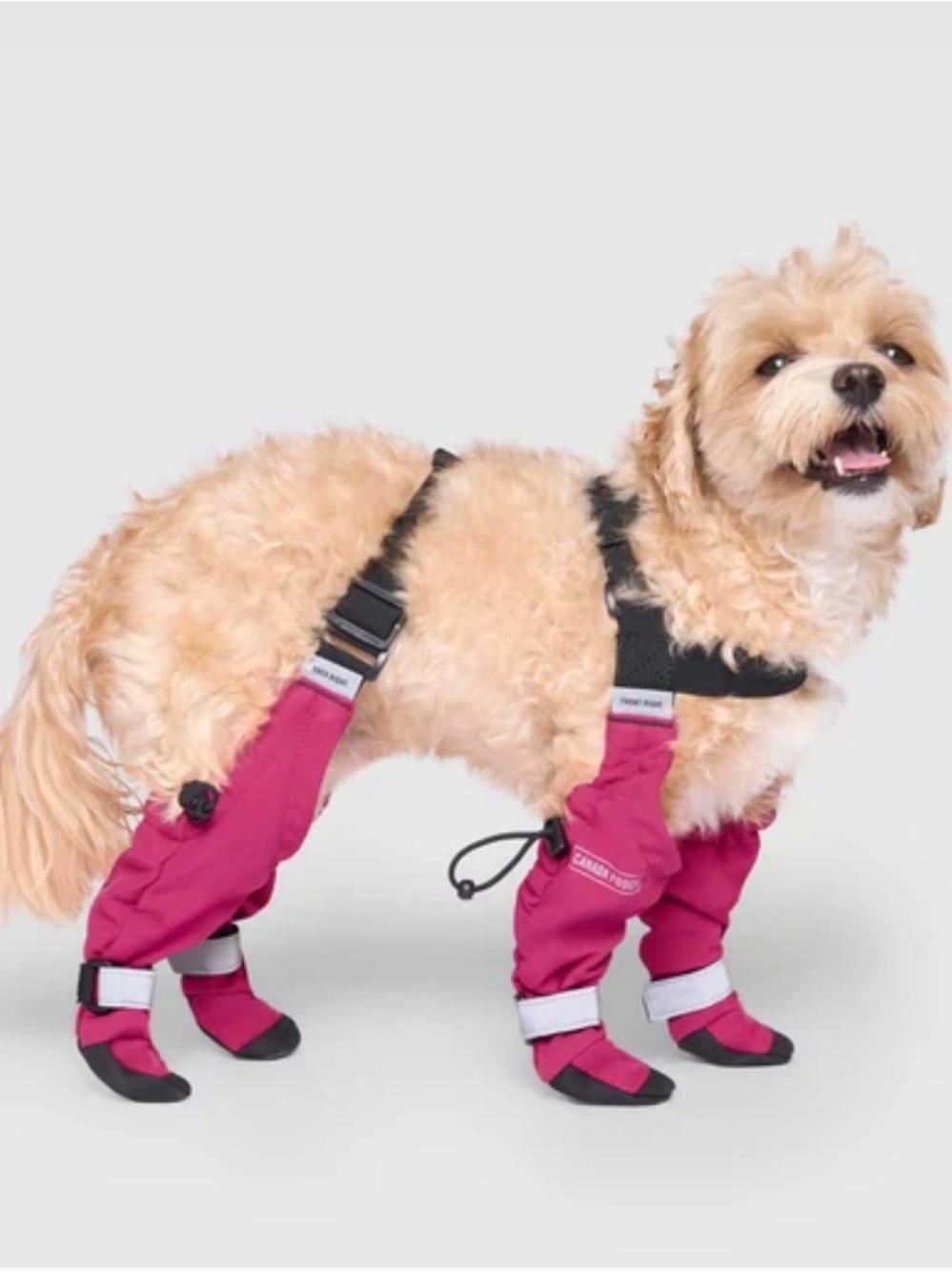 Canada Pooch Suspender Boots